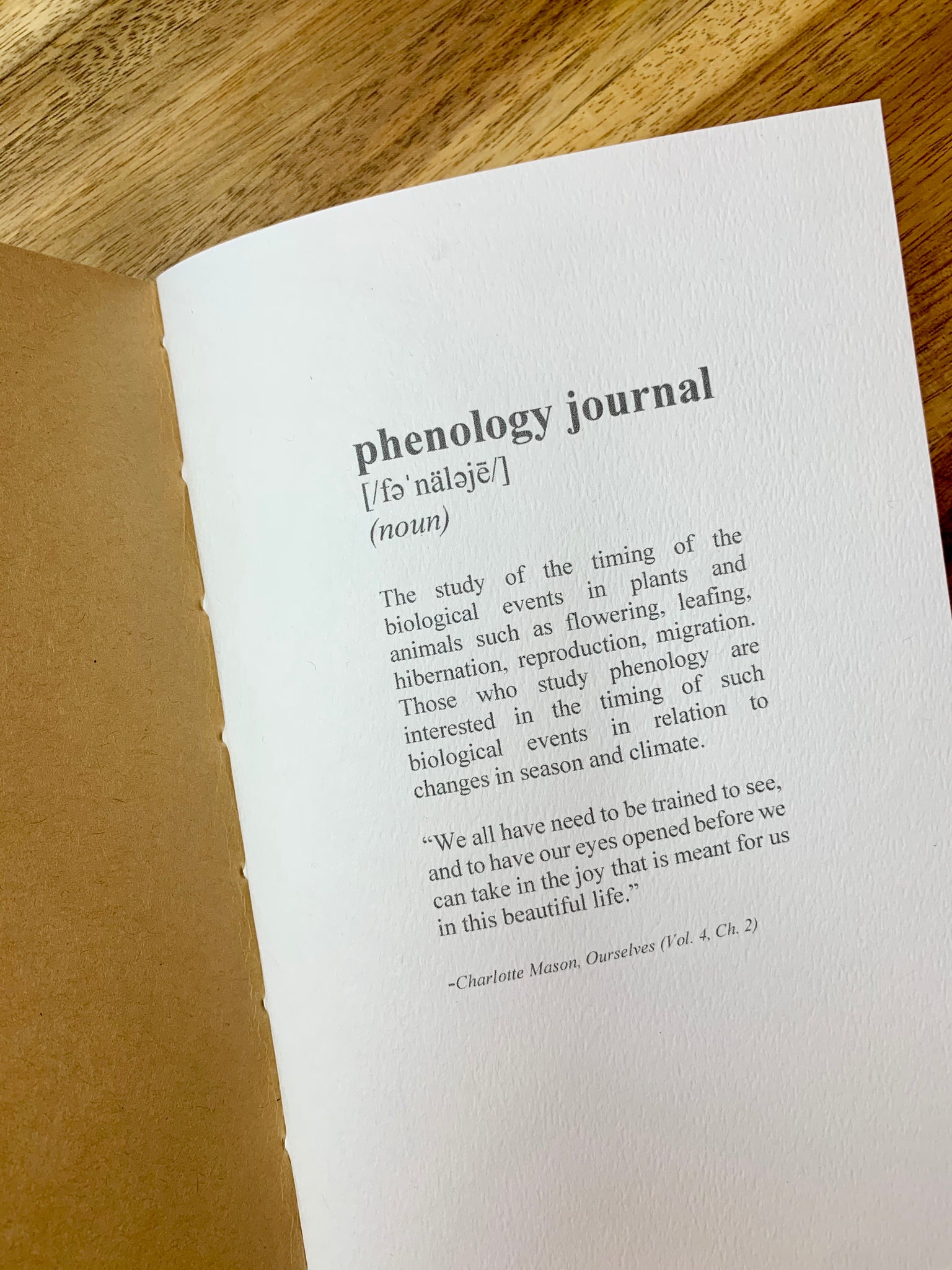 Phenology Journal Insert – Juniper Grove